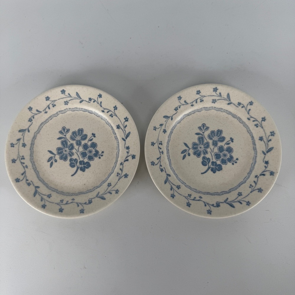 Set of 2 Royal China Americana Blue Floral Speckled Ironstone Bread Plates 6.25"